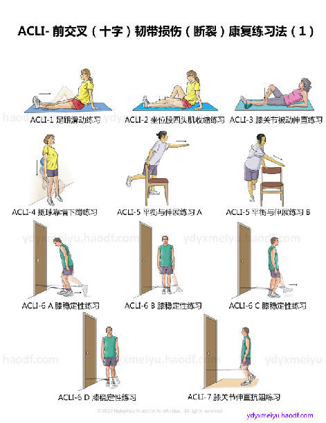 ACLI-前交叉(十字)韧带损伤(断裂)康复练习法_