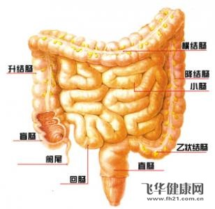 是一种常见的癌症,它的主要的发作部位是直肠以及直肠与乙状结肠的