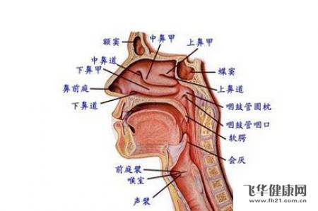 得了咽炎应该注意些什么