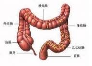 结肠息肉活检为:管状腺瘤伴部分腺体轻中