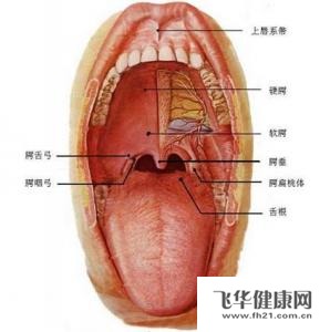 口腔癌放疗后出现溃烂现在逐日严重怎么办