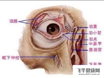 得了泪腺肿瘤怎么办