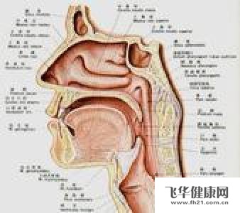 额窦炎该如何护理_疾病库_飞华健康网