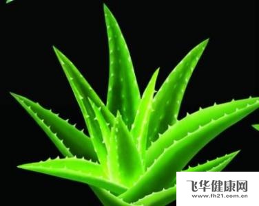 海边晒伤后怎么办_