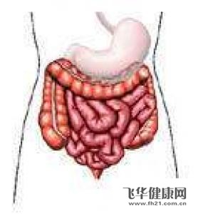 正常人的胃在腹腔的左上方,其位置相对固定,对于维持胃的正常功能有