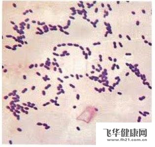得了卡他莫拉菌感染怎么办