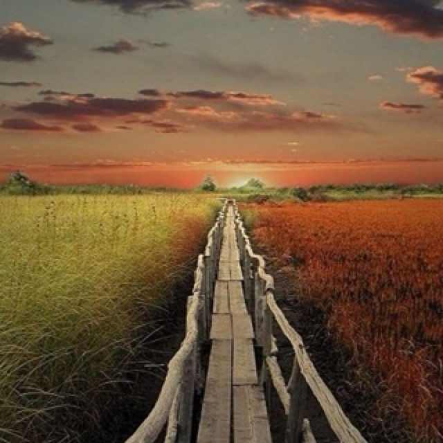 登革热血检能查出艾滋病吗_飞华健康问答