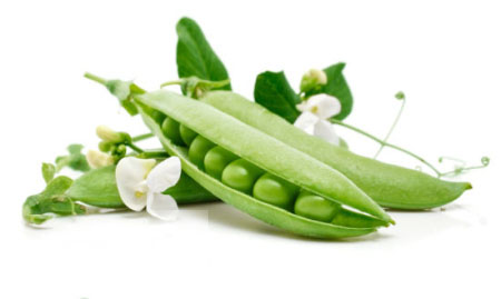 餐桌上中经常吃什么菜补肾壮阳?