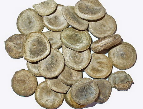 面瘫的中医秘方治疗