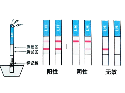 告诉你!早孕试纸检测方法