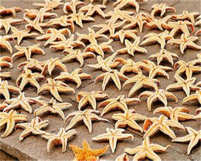 泡什么补肾壮阳效果最好呢