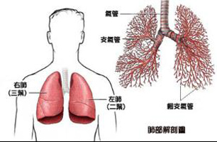 老人肺炎发作表现|反复发作的肺炎警惕肺癌