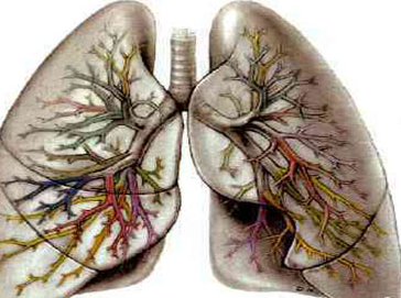 肺纤维化并发症有哪些