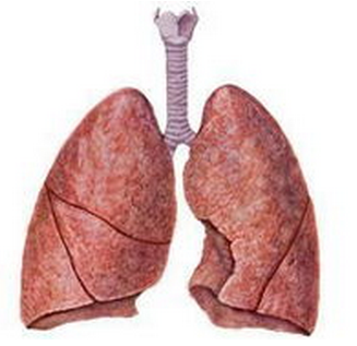 肺纤维化能活几年