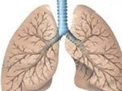 导致肺纤维化的原因有哪些