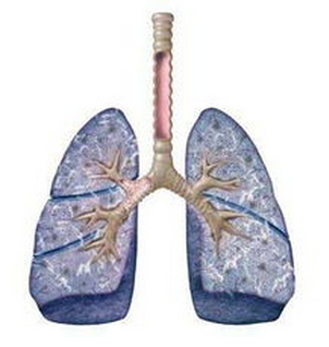 得了肺纤维化能治疗吗