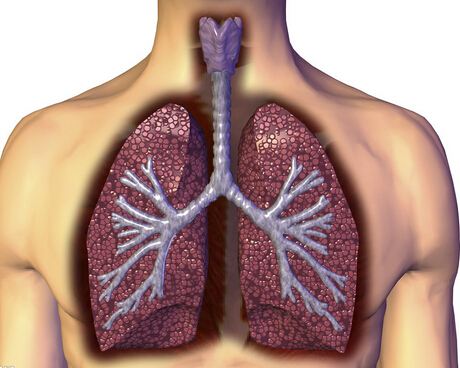 治疗肺气肿药都有哪些效果比较好的
