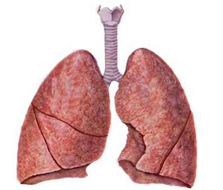 过敏性肺气肿怎样治疗