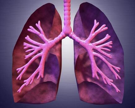 肺纤维化的病理特点