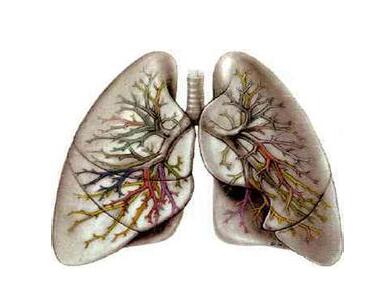 早期肺纤维化的症状有哪些