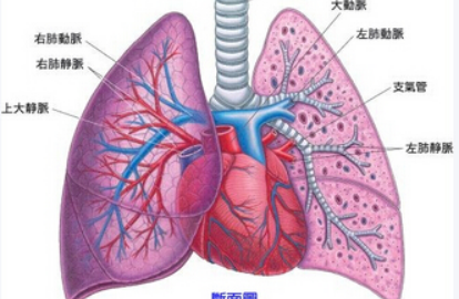 肺纤维化的诊断标准有哪些