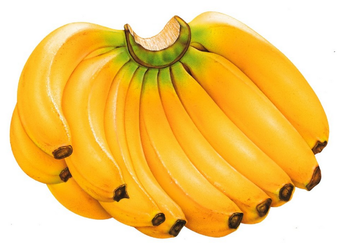 皮肌炎能吃香蕉吗