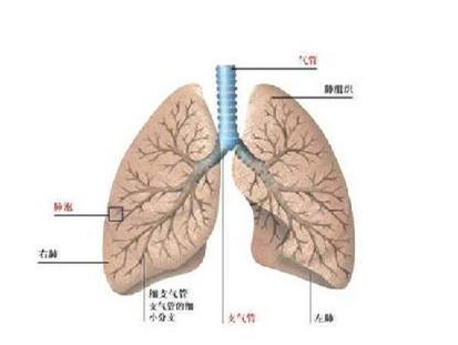 化 用药  警惕职业和环境相关性疾病:矽肺,石棉肺,重金属肺,煤尘肺,铍