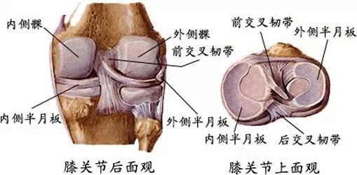 半月板损伤婴儿何时检查