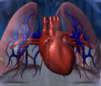 坠积性肺炎的症状有哪些