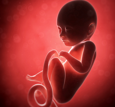 胎儿佝偻病的症状图片中可看出哪些常见症状