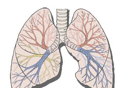 间质性肺气肿病因都有什么
