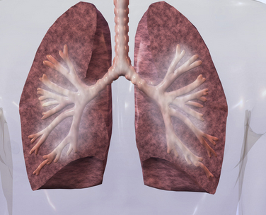 肺气肿的常见诊断方法有哪些