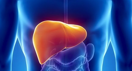 脂肪肝b超诊断标准是什么