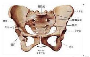 骶髂关节炎饮食要注意什么