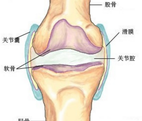 这种疾病不会影响患者的寿命,滑膜炎是一种关节疾病,这个关节疾病的