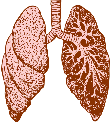 什么原因会导致肺纤维化