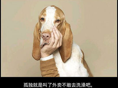 jpg 2.jpg