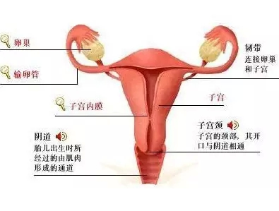 由于熏洗后患者的外阴痒痛,灼热症状明显减轻,因此更适用于急性霉菌性