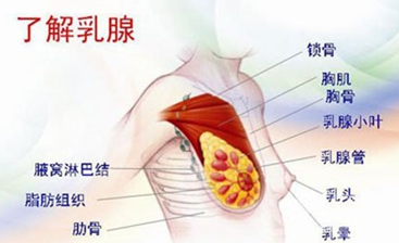 走路锻炼对乳腺增生伴结节有好处