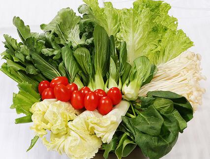 得了食道癌手术后吃什么呢