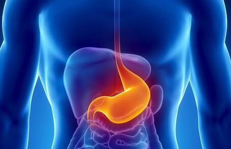 调养胃病防胃癌的食疗方有哪些