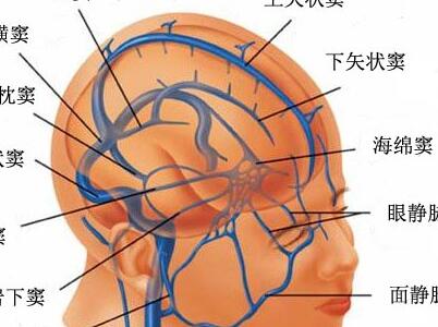 治疗脑癌费用是多少