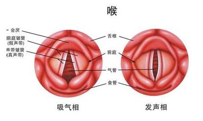 患有喉癌治愈后能生育吗_飞华健康网