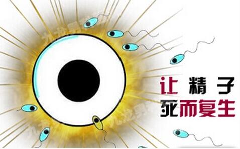 少精症适合吃什么