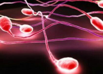 弱精症引起男性不育该如何进行检查