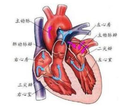 什么是肺动脉高压