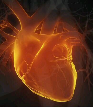 新生儿轻度肺动脉高压可以自愈吗