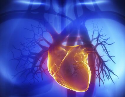 肺动脉高压的传播途径是什么