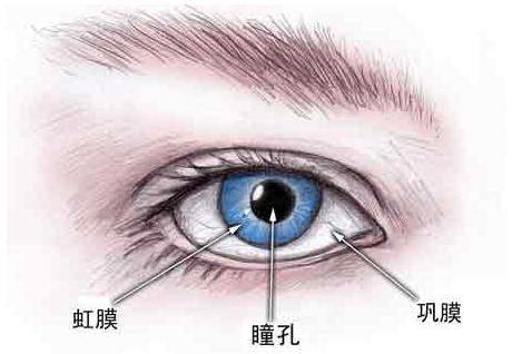 青光眼能不能影响胎儿