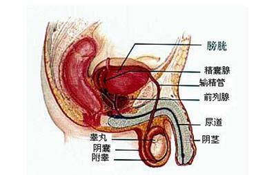 阴囊潮湿有可能自愈吗